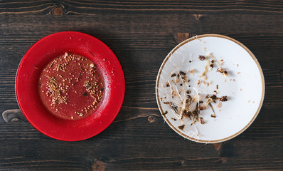 Two plates at opposite sides. Red plate with salad leftovers and white plate with fish bones. Vegetarianism and pescetarianism or meat eating concept