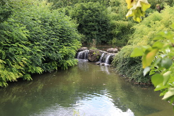 Obraz premium river in the forest