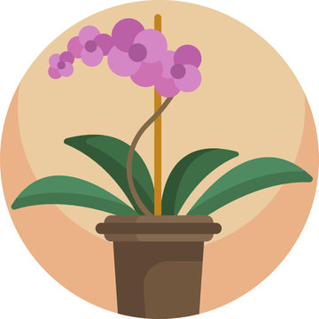 purple orchid plant in brown pot clip art preview