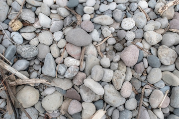 Rocks and Driftwood