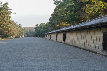 京都御苑の風景