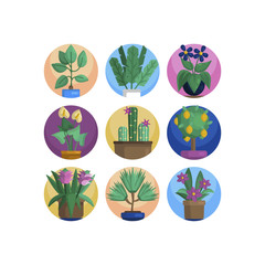 Plant in flower pot icon. Line, solid and filled outline colorful version, outline and filled vector sign. Home plant symbol, logo illustration. Different style icons set. Pixel perfect vector