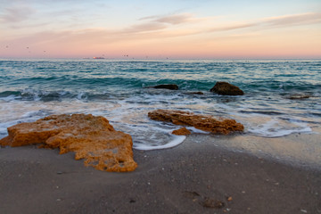 sea stones rocks gulls waves sunny weather