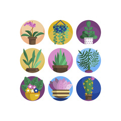 Plant in flower pot icon. Line, solid and filled outline colorful version, outline and filled vector sign. Home plant symbol, logo illustration. Different style icons set. Pixel perfect vector