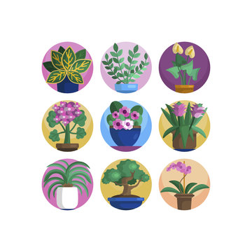 Plant in flower pot icon. Line, solid and filled outline colorful version, outline and filled vector sign. Home plant symbol, logo illustration. Different style icons set. Pixel perfect vector