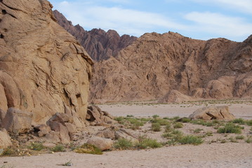 canyon in desert