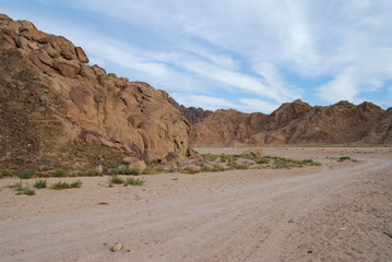 road in desert