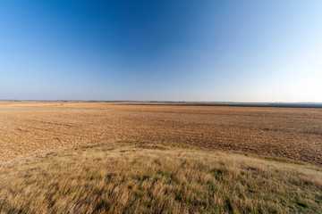 Fototapeta na wymiar The Great Hungarian Plain on an autumn day