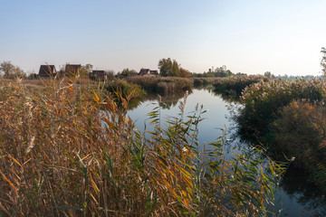 Danube channel and common reed in the Hungarian countryside.