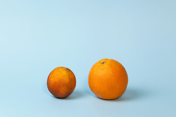Concept- Freshness and withering. Fresh and spoiled oranges on light blue background. Copy space