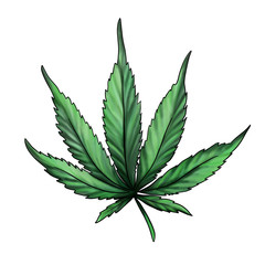 Hand-drawn green hemp leaf isolated on a white background. Watercolor illustration
