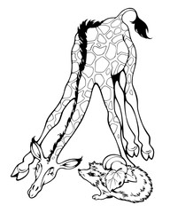 A tall giraffe bowed its head to hear a little hedgehog