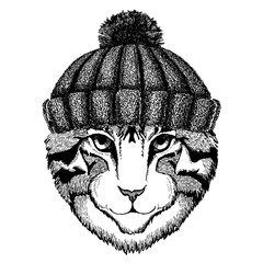 Image of domestic cat Cool animal wearing knitted winter hat. Warm headdress beanie Christmas cap for tattoo, t-shirt, emblem, badge, logo, patch