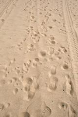 Smooth Sand Texture from a Local Beach