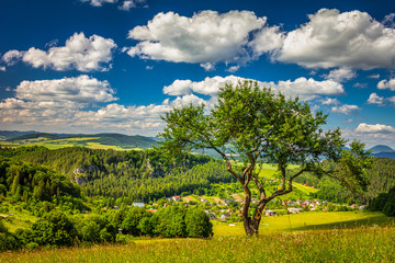 Fototapeta premium View of rural mountainous landscape during sunny day in spring time..