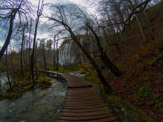 Sendero hacia la catarata.