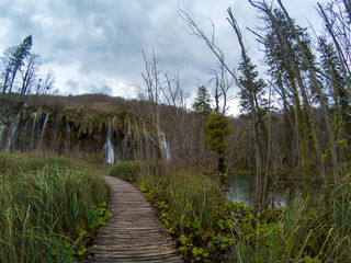 Sendero hacia la montaña.