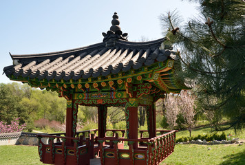 Japanese-style gazebo in the garden, against the blue sky