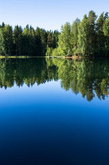 lake in deep forest