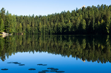 lake in deep forest