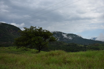Cerro