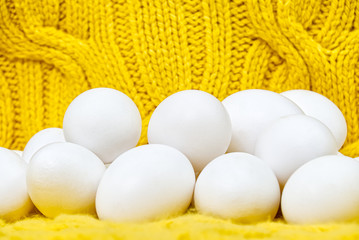 white chicken eggs in yellow wool sweater. lot of white eggs close up.