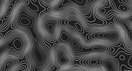 Topographic Map Background. Topographical style lines pattern. Abstract Light contours on black backdrop.