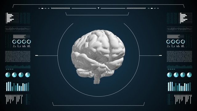 Medical UHD abstract animation. Laboratory dashboard interface. Human brian study on diagnostic computer display.