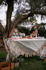 cheese and fruit board. Party tray catering. Gender reveal and baby shower
