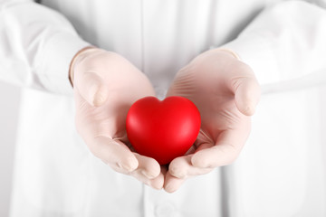 Male doctor holding heart in hands