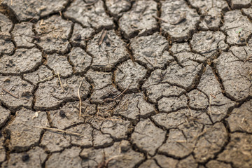 close up view of the cracked soil surface Or exposed to extremely hot weather during the hot season,seen in regions in tropical countries