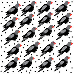 Fototapeta premium seamless simple bird vector design