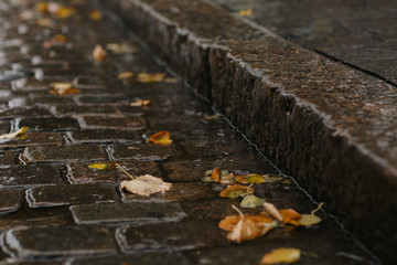 rain stream on an old stone pavement with yellow leaves