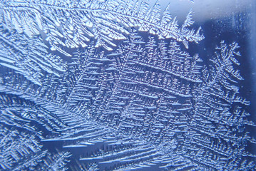 macro ice on the glass in winter Patterned like leaves	