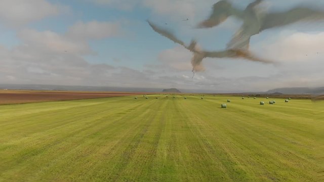 Slow motion of bird attacking drone over a beautiful countryside