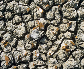 Detail of cracked bentonite clay and pebbles