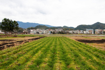 China's rural landscape