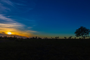 Sunrise at the Australien outback near the village of Roma, Queensland, Australia. Orange sunlight...