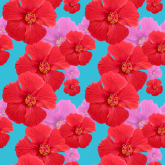 Hibiscus. Illustration, texture of flowers. Seamless pattern for continuous replication. Floral background, photo collage for textile, cotton fabric. For use in wallpaper, covers