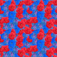 Fototapeta na wymiar Hibiscus, gladiolus. Illustration, texture of flowers. Seamless pattern for continuous replication. Floral background, photo collage for textile, cotton fabric. For use in wallpaper, covers