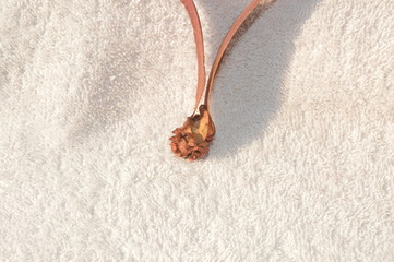 The flowers of the Dipterocarpus alatus Roxb tree are brown on a white background.