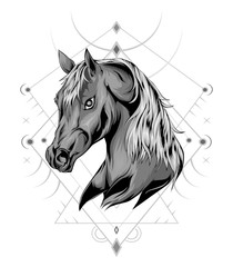 Horse head in ornament.