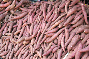 Sweet potatoes piled for sale. Also known as Ipomoea batatas as its scientific name. Always used by Asian people as ingredient in their cook and traditional cakes.