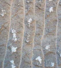 Old plaster removed from swimming pool wall and showing texture of cement.