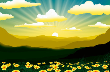 Yellow flower field on the hill with beautiful sundown