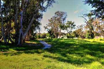 Obraz premium Overgrown landscapes in Florida state