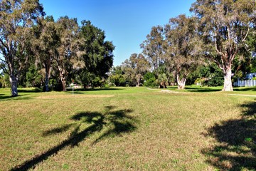 Obraz premium Overgrown landscapes in Florida state