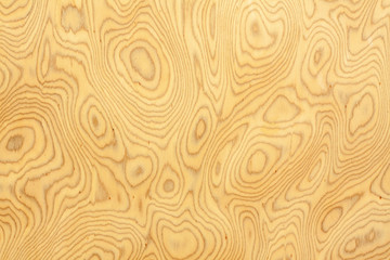 Plywood pattern similar Contour.