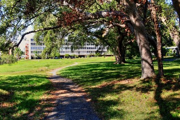 Overgrown landscapes in Florida state