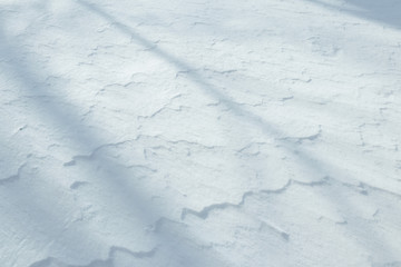 風がつくる模様